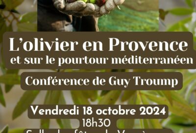 L’olivier en Provence